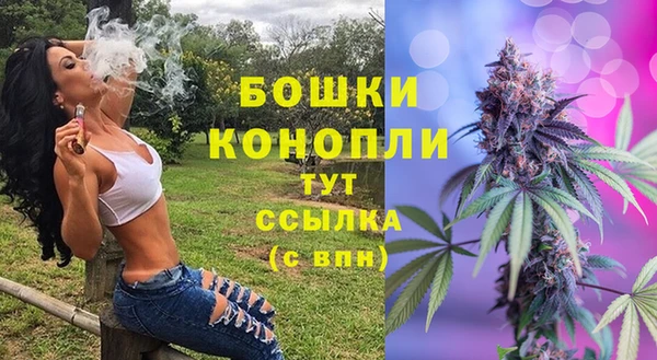 винт Дмитриев